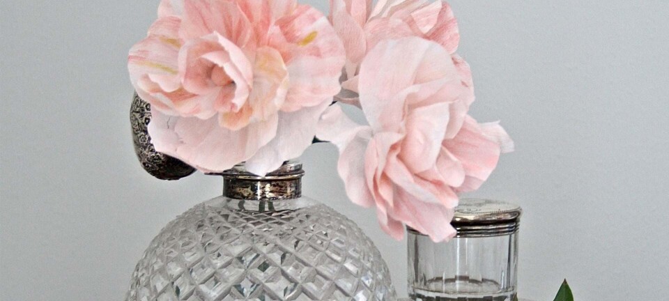 DIY: Disse skønne blomster holder hele året