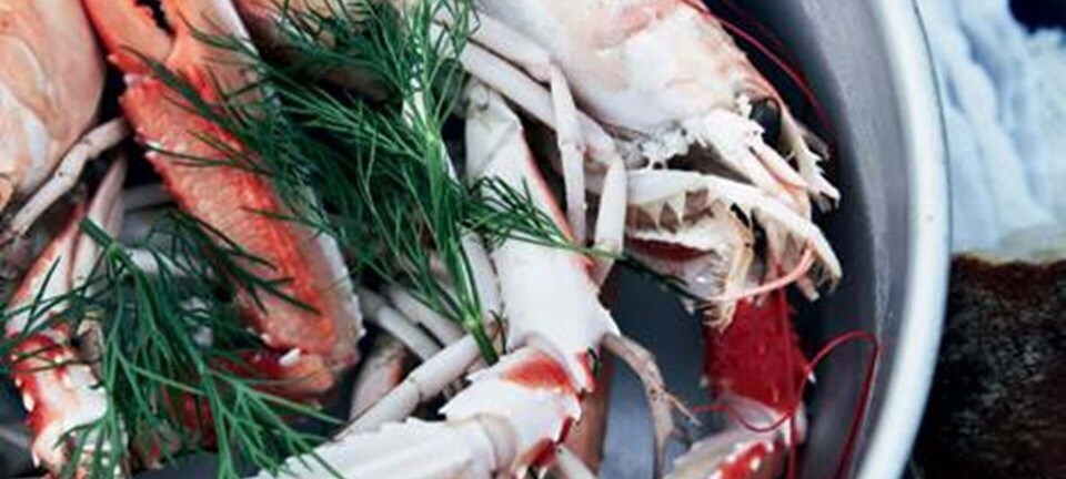 Jomfruhummere kogt med dild