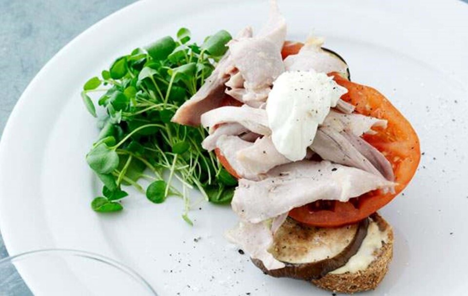 Elverbrød med grillet aubergine og kylling