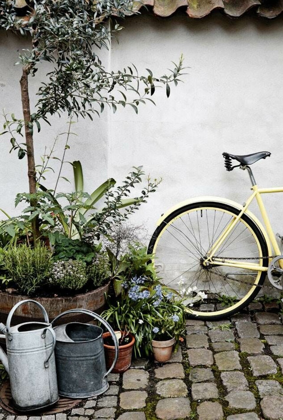 Lars’ gule cykel skaber lidt urbant modspil til zinkkanderne og terrakottakrukkerne.