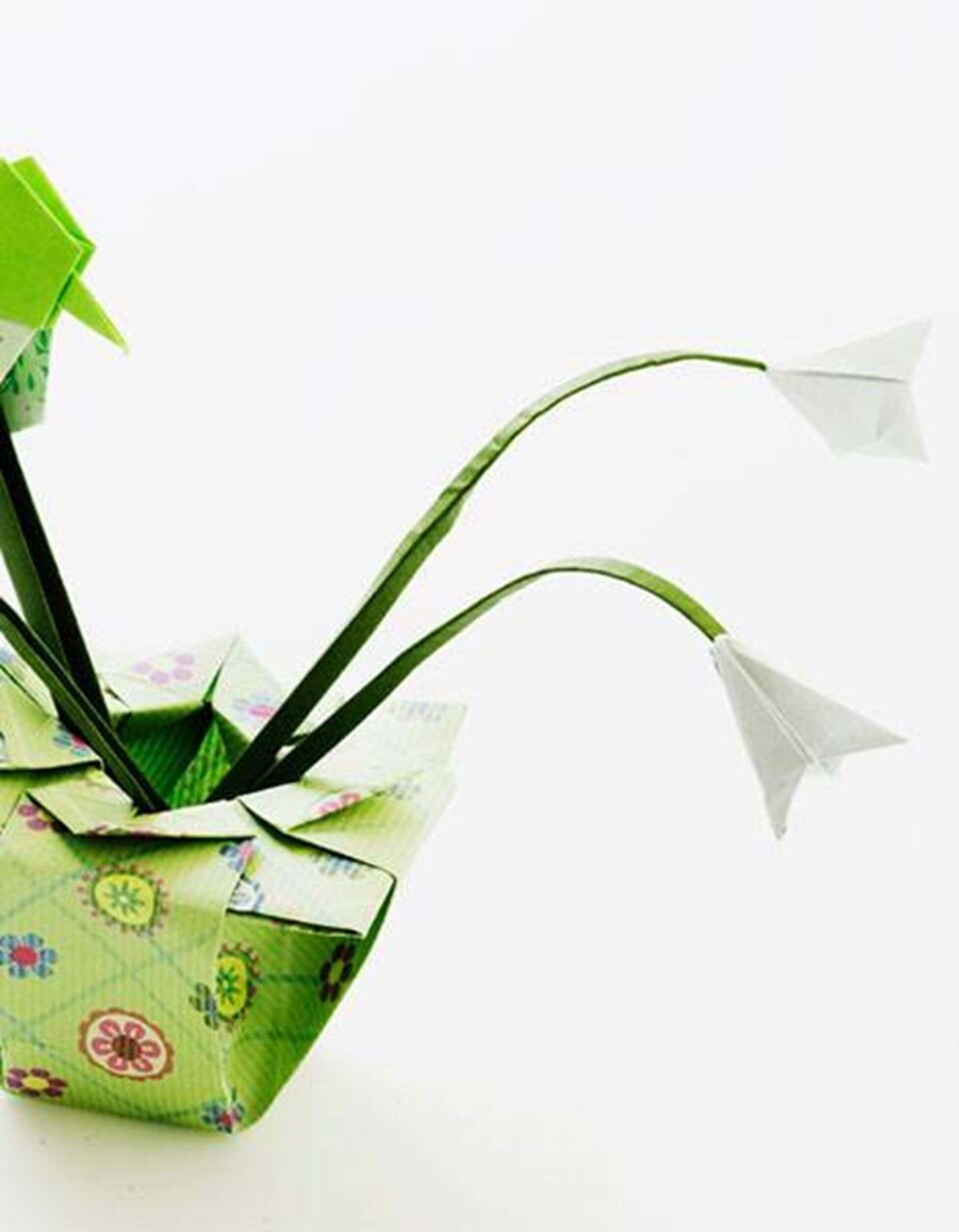 Fold den skønneste vintergæk og klokkeblomst fra Hendes Verden
