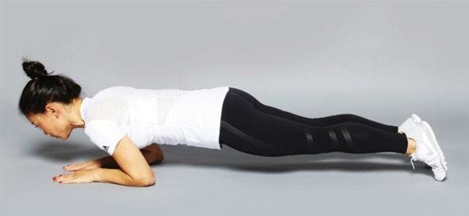PLANK SAW
