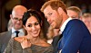 Vil du hænge ud med Harry og Meghan dagligt? Så har vi fundet drømmejobbet til dig