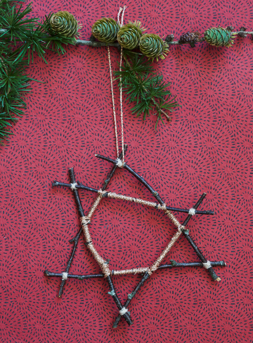 Stjerne af birkegrene.