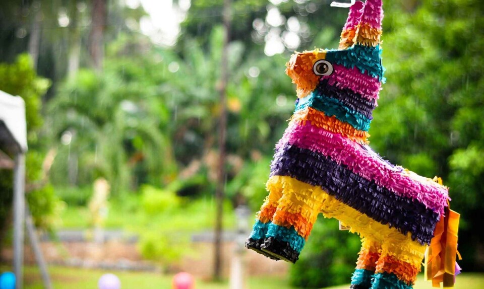 Nu kan du købe en pinata… fyldt med sprut