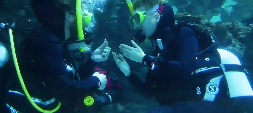 Emil om sit vilde frieri: 'Jeg var en presset mand - meget kunne gå galt'