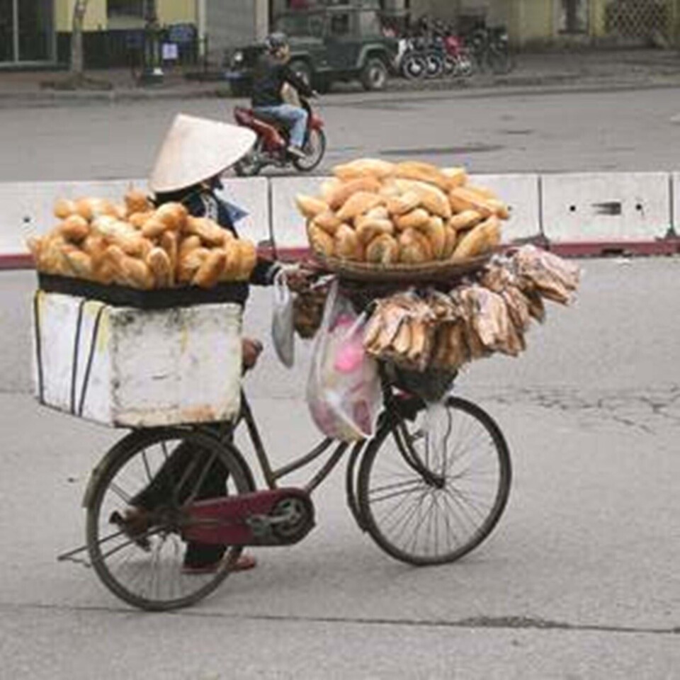 Vietnam for børn