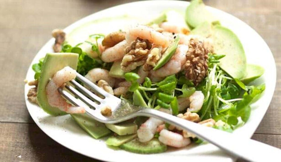 Opskrift på salat med rejer, avocado og kokoslime dressing