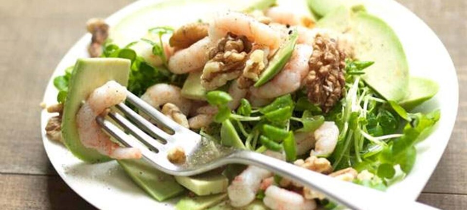 Salat med rejer, avocado og kokoslime-dressing