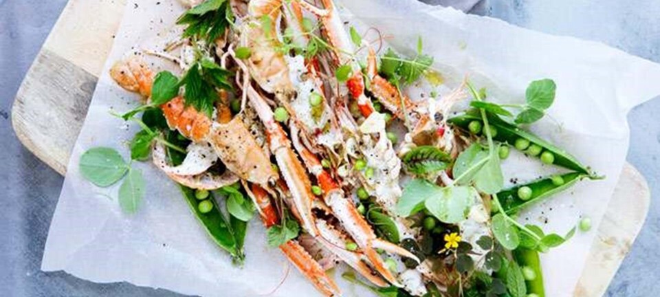 Jomfruhummer på grill med urter og ærter