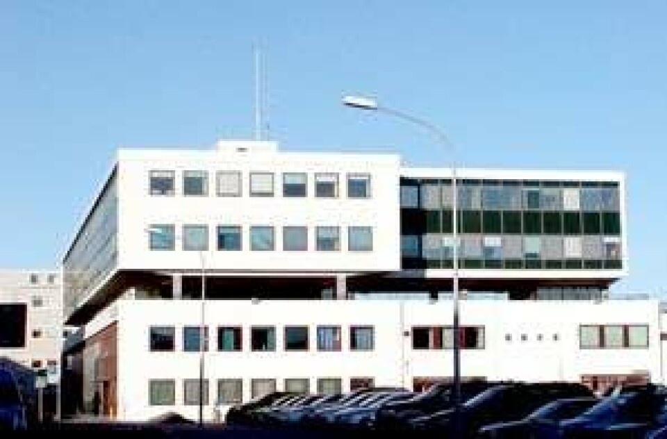 'Der er noget befriende skævt over Reykjavík'