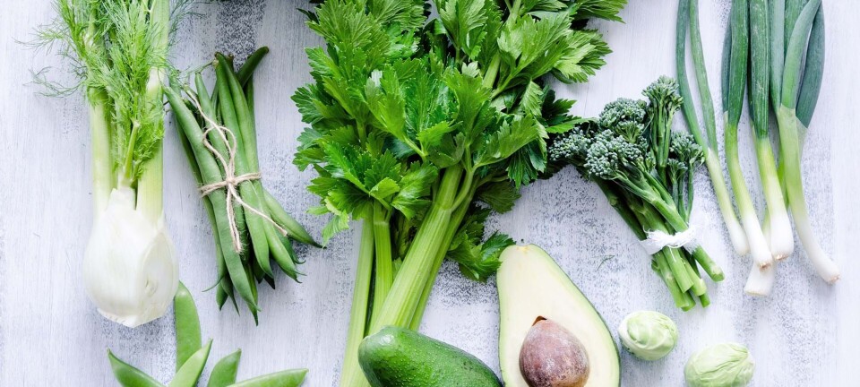 Det mener eksperterne om kuren Grøn Sense