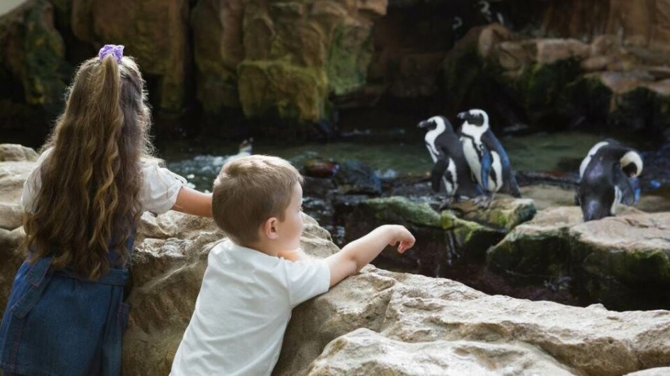 Zoo-1024x574.jpg