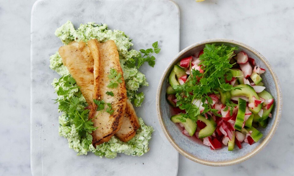 Sprød fisk på edamamepuré med salat af radiser og agurk