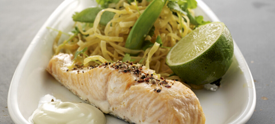 Laks og stegte nudler