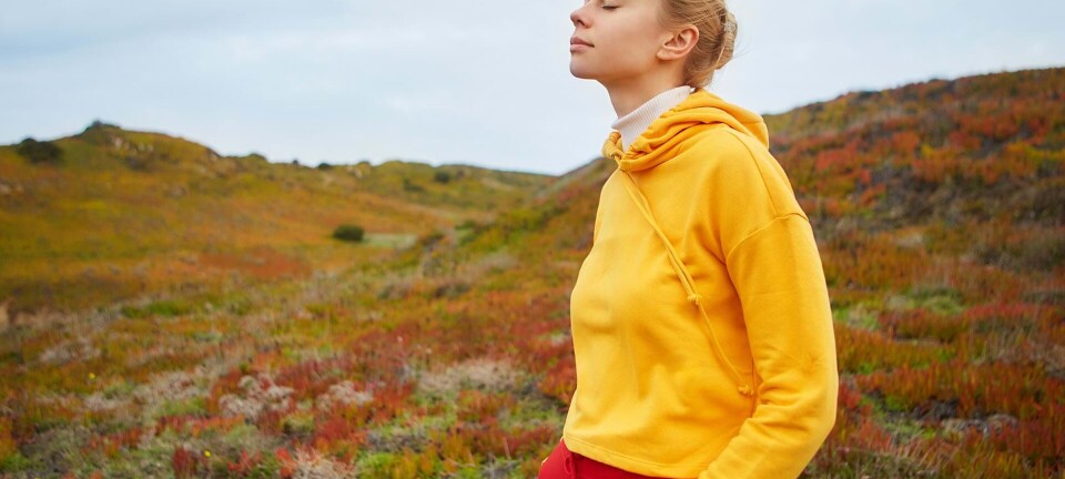 'Jeg fik ikke bare en hjernerystelse, jeg fik også en brat opvågning'