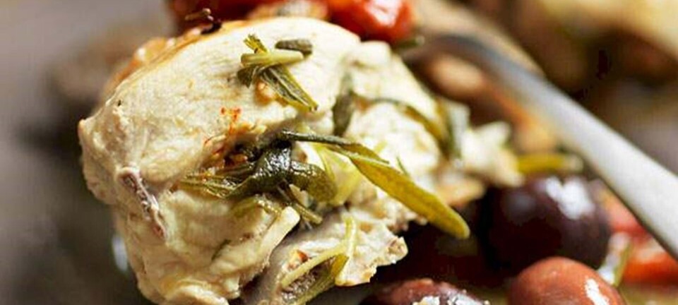 Romersk kylling med rosmarin, persille og sorte oliven