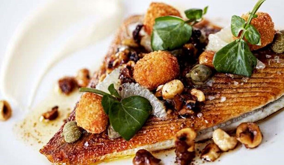 Opskrift på ristet pighvar med brændt smør, knoldselleri og polenta