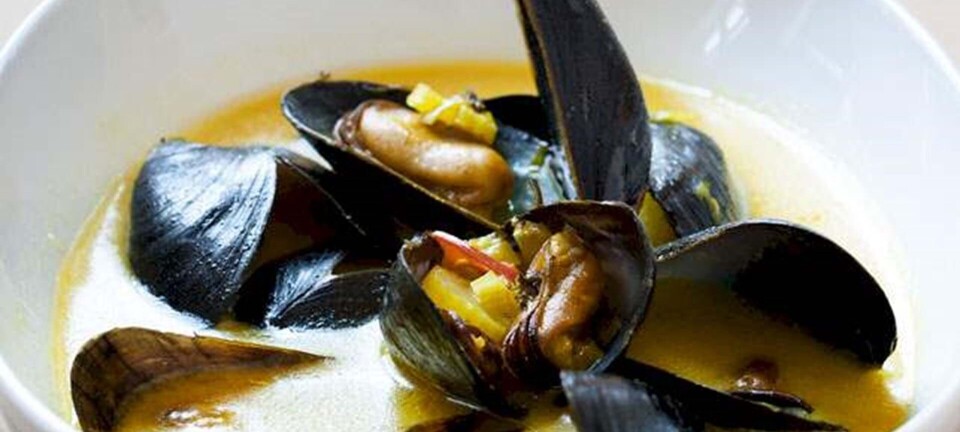 Opskrift på muslingesuppe