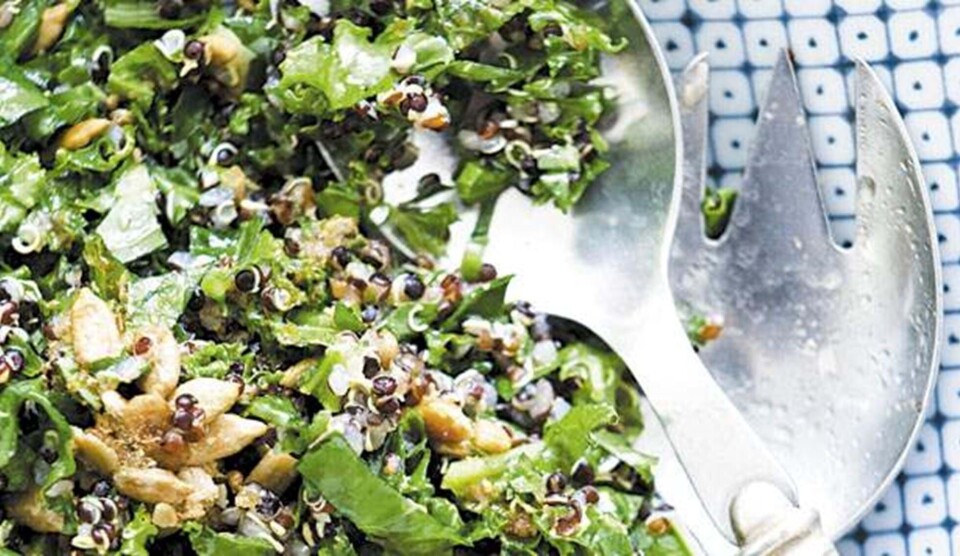 Opskrift på grønkål med sort quinoa og solsikkekerner
