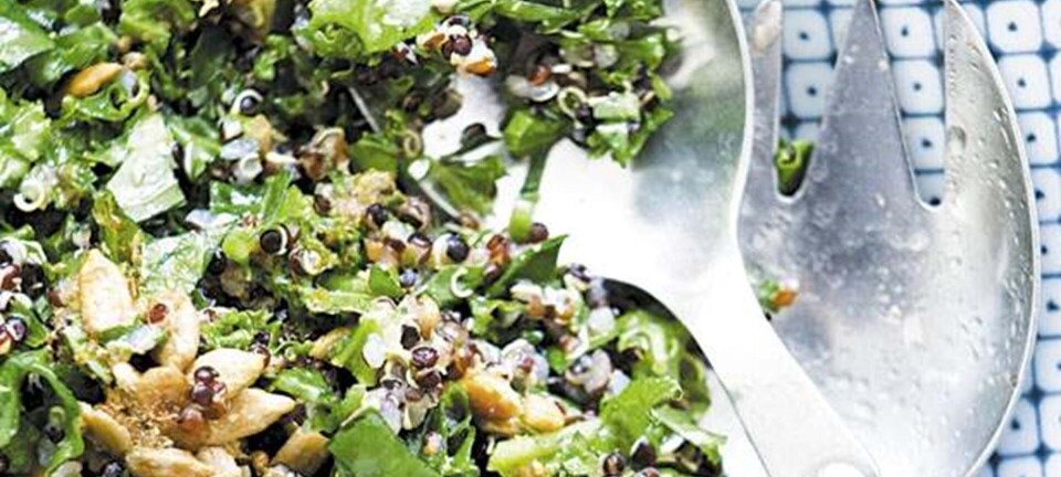 Grønkål med sort quinoa og solsikkekerner