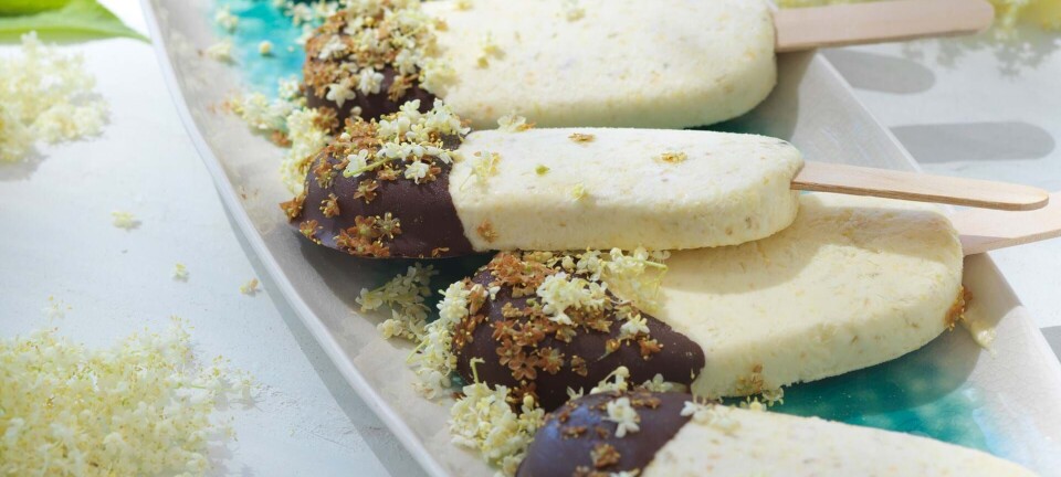 Sådan laver du ispinde med hyldeblomster