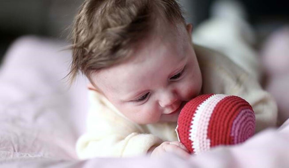 Tigerspring: Tag et kig ind i babys hjerne