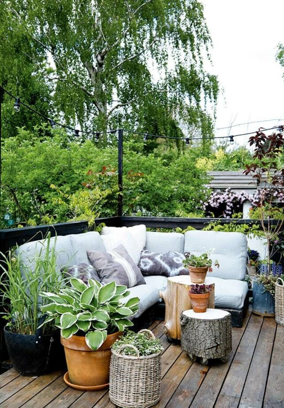 Mig & min bolig: Have- og indretningsdesigner Dorthe Kvist