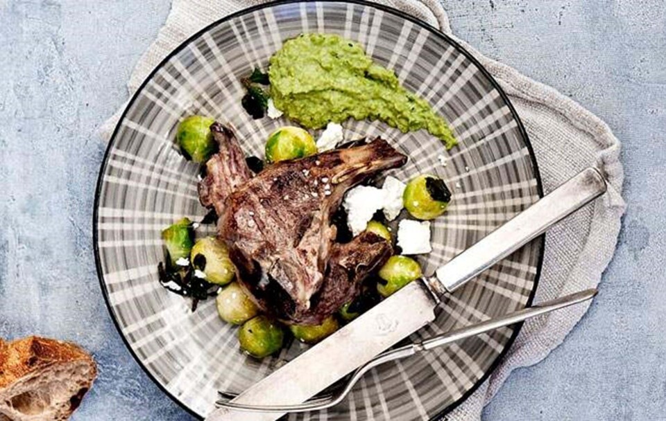 Opskrift på lam med ærtepuré og rosenkålssalat