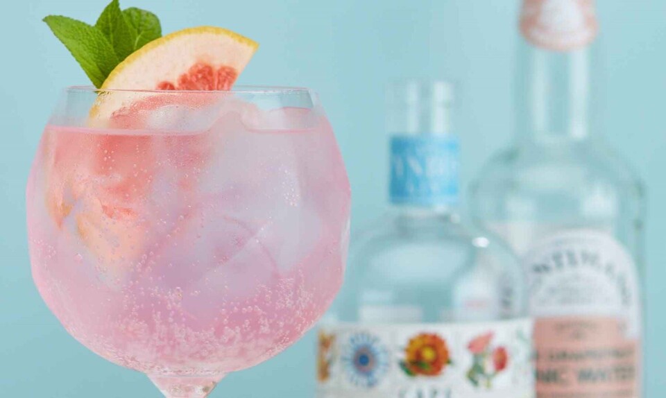 Billede 1 - gin og tonic