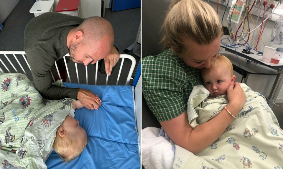 Lille dreng spiste giftig svamp og var tæt på at miste livet 2.jpg