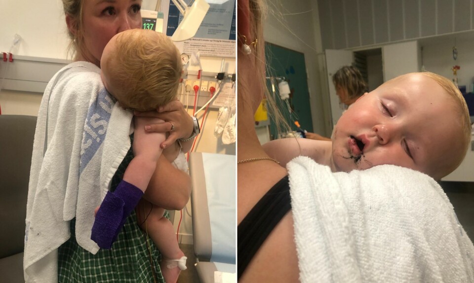 Lille dreng spiste giftig svamp og var tæt på at miste livet 3.jpg