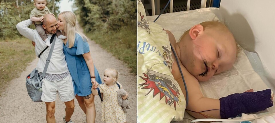 Lille dreng spiste giftig svamp og var tæt på at miste livet – nu har forældrene vigtigt budskab