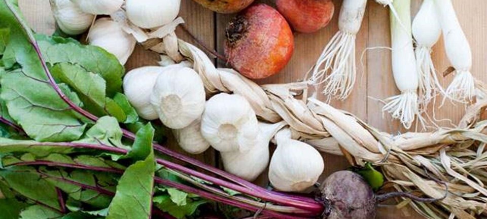 Ny 5:2-kur i handlen: Lover vægttab på op til 5 kilo på to uger