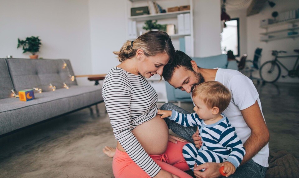 Gravid