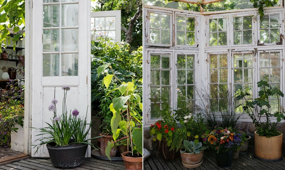 krukker-blomster.jpg