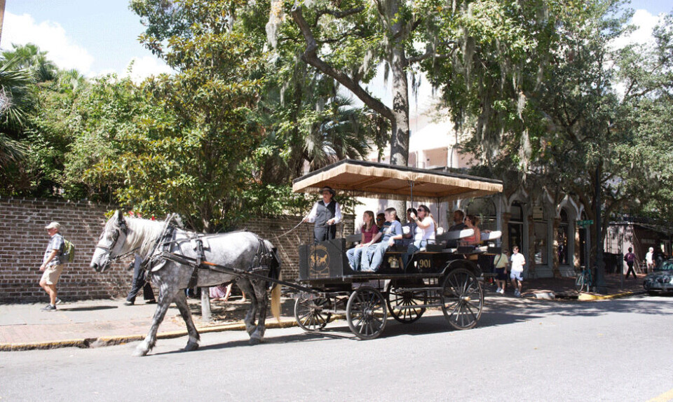 Rejseguide: Besøg den amerikanske sydstatsperle Savannah