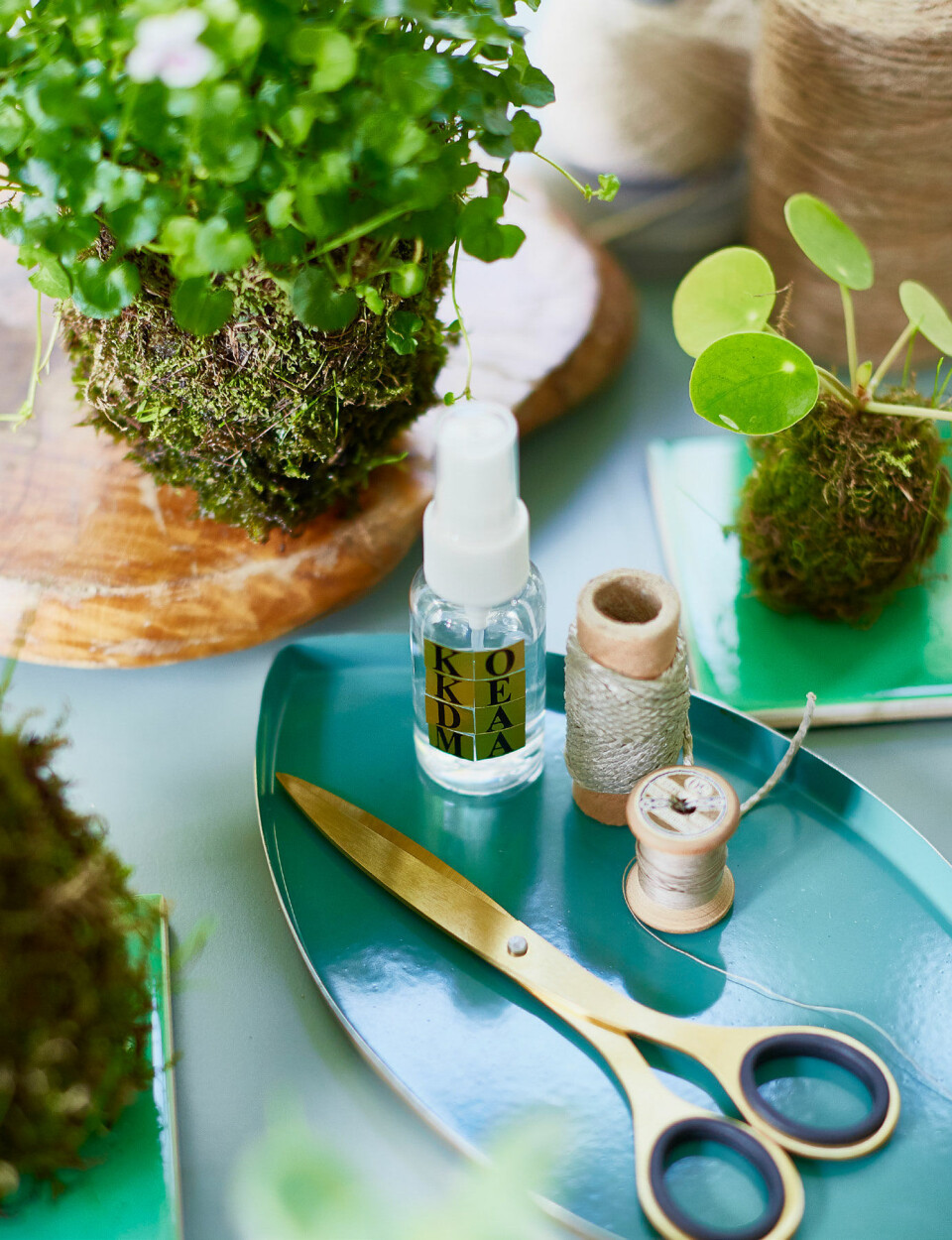 Saks, sytråd, garn, jord og et par søde planter – så er du i gang. En minivandspray holder mosset friskt og fugtigt.