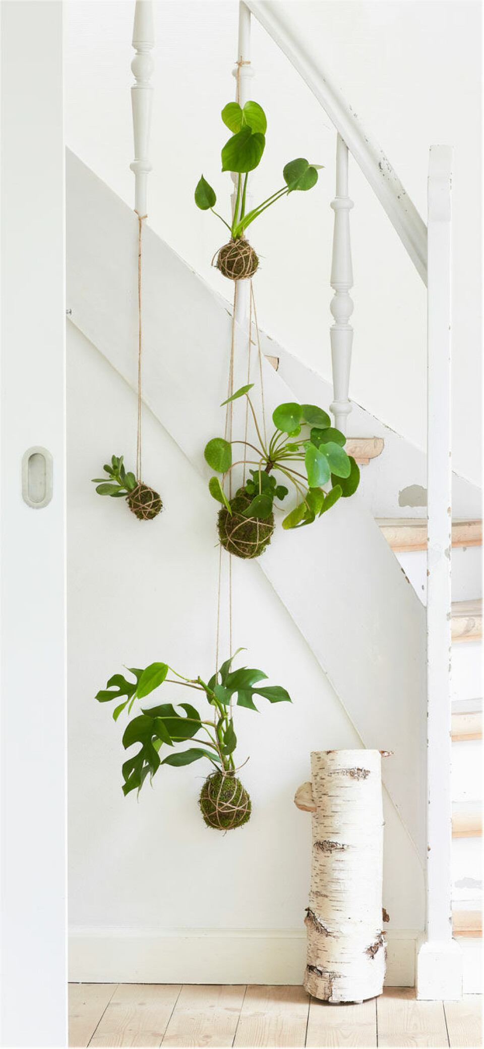 Her har vi brugt gelænderet til at hænge kokedama på.