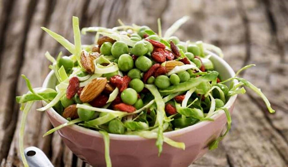 Opskrift på sommerkål med chilidressing