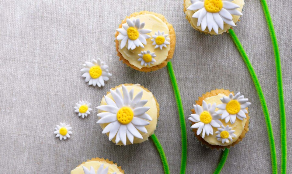 Daisycupcakes: Fineste cupcakes med margueritter