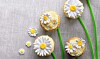 Daisycupcakes: Fineste cupcakes med margueritter