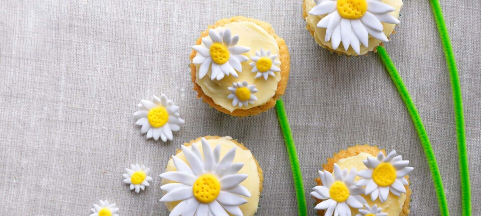 Daisycupcakes: Fineste cupcakes med margueritter