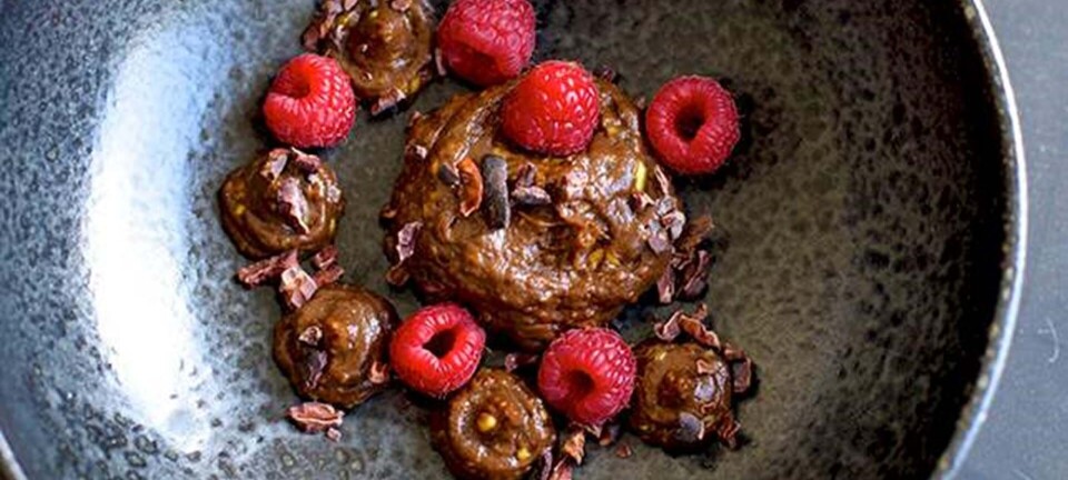 Sund “chokolade”-mousse