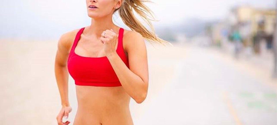 Bikini bootcamp: Flad mave på 2 uger