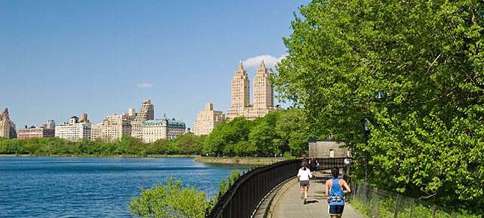 Stor guide: Sundhedstrip i New York