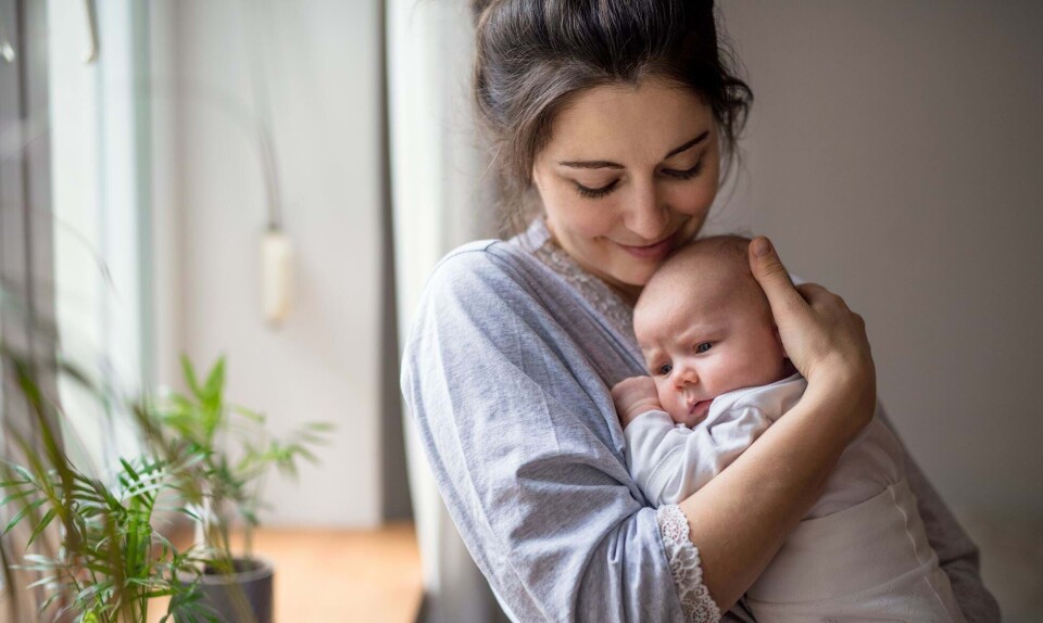 Din baby forstår mere, end du tror
