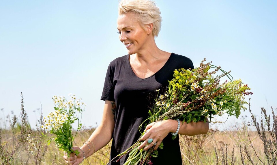 Lene Beier vildere have bog