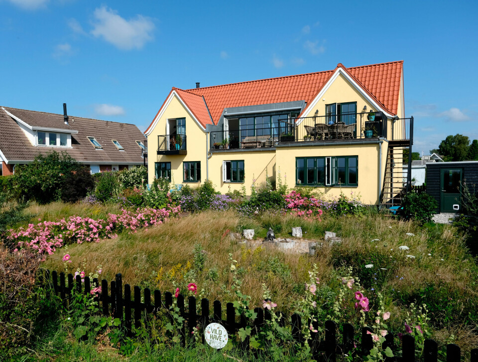 Lene Beier vildere have bog