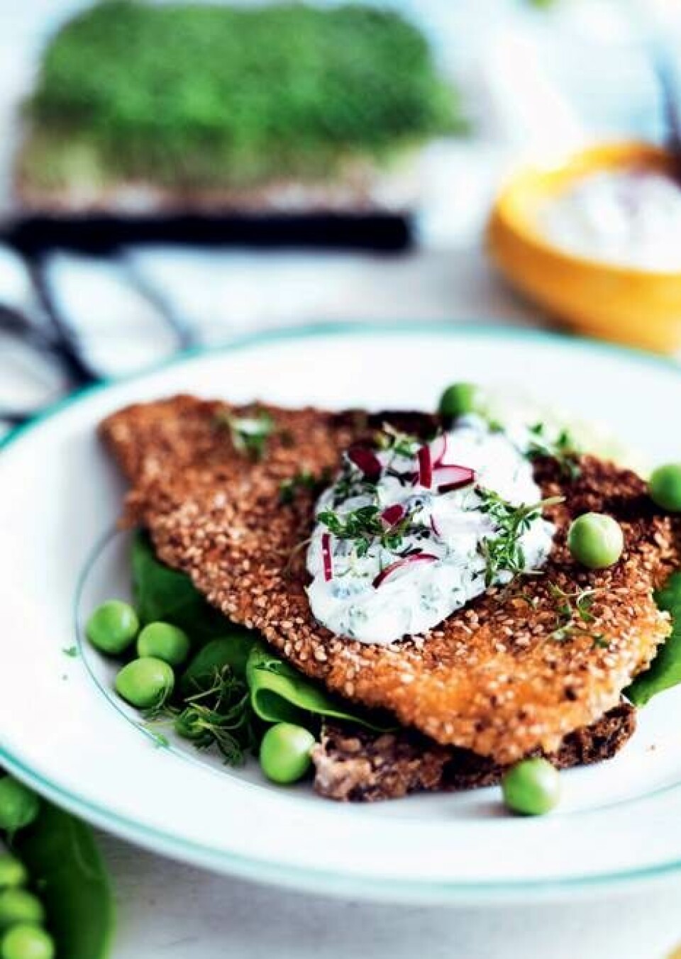 Billede 3 - 6 opskrifter på sol, sommer og smørrebrød